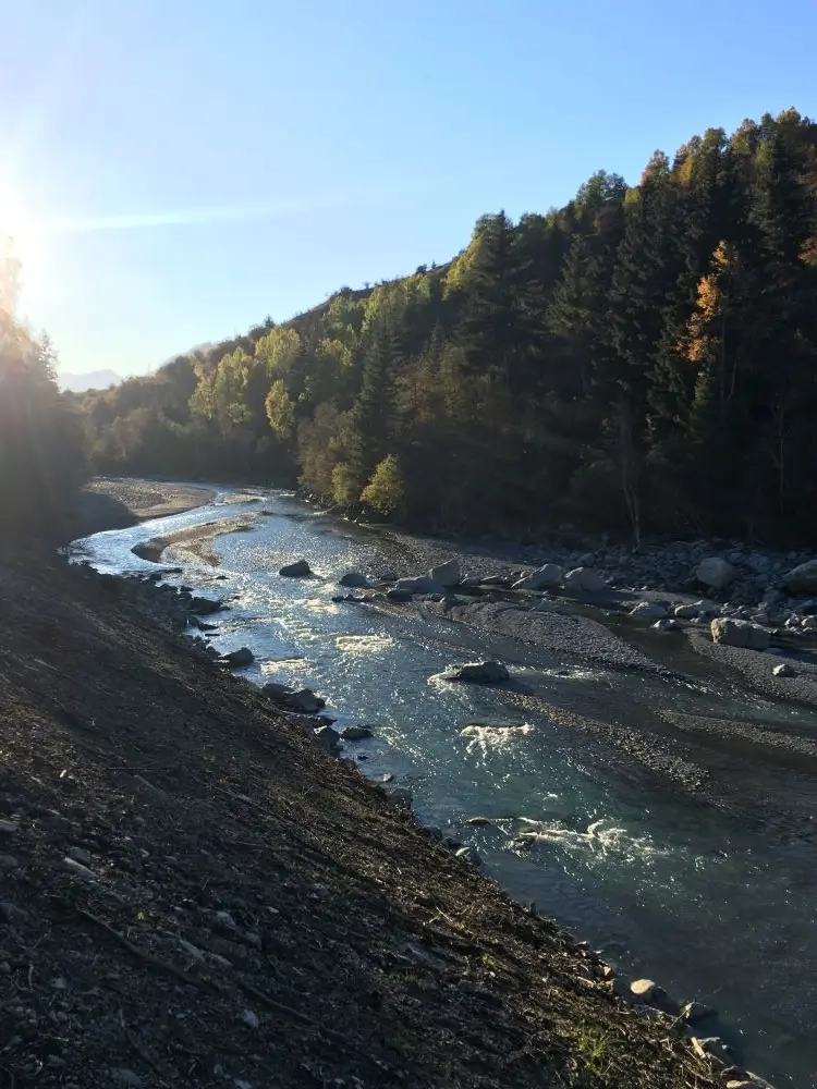 Rivière sauvage dans une lumière matinale